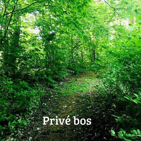 Kwadijkerbos * Kwadijk