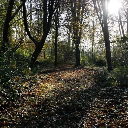 Kwadijkerbos Kwadijk