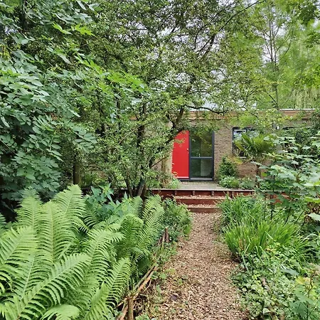 Kwadijkerbos Bed & Breakfast *