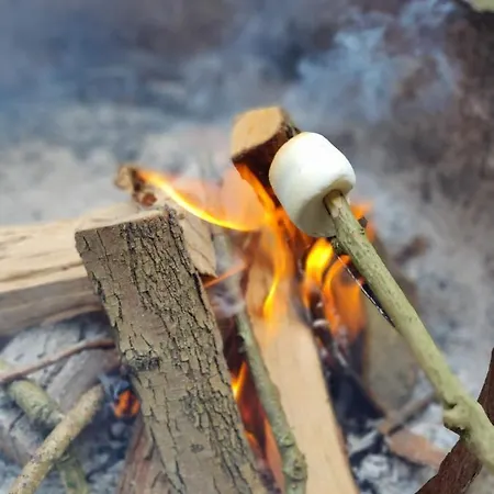 Kwadijkerbos Отель типа 