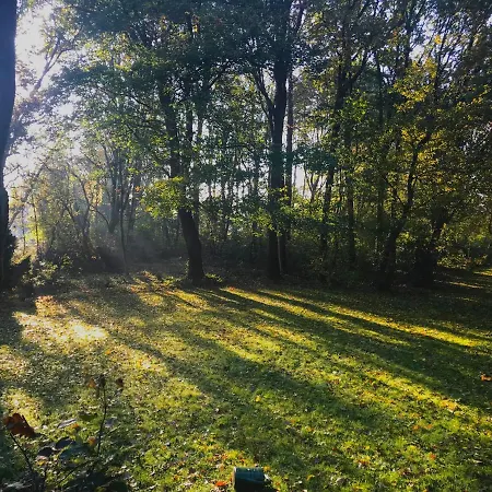 Kwadijkerbos