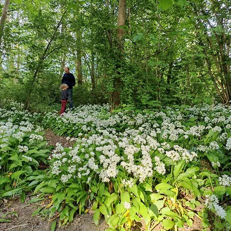 Kwadijkerbos 3*