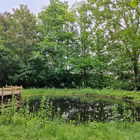 Bed & Breakfast Kwadijkerbos