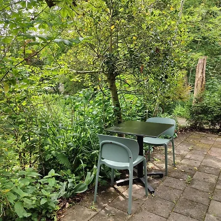 Kwadijkerbos Отель типа 