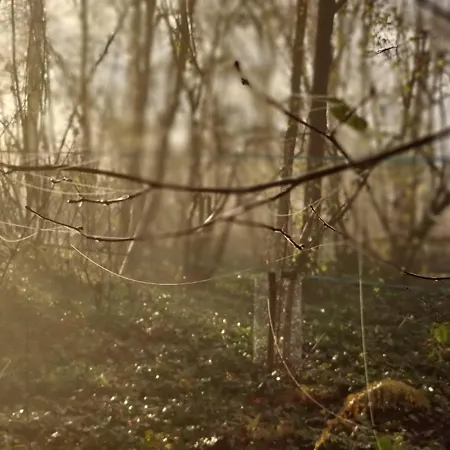 Kwadijkerbos Отель типа 