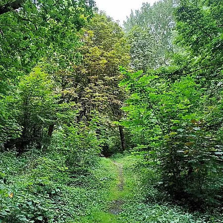 Kwadijkerbos B&B 3*