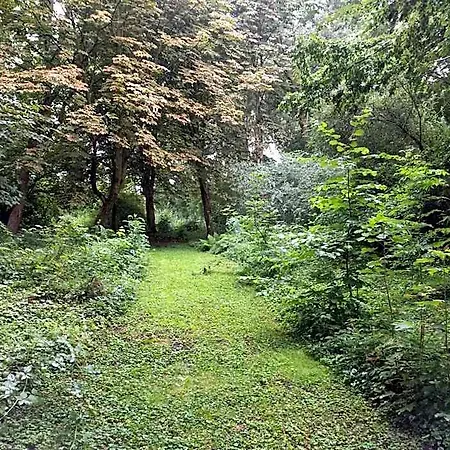 Kwadijkerbos