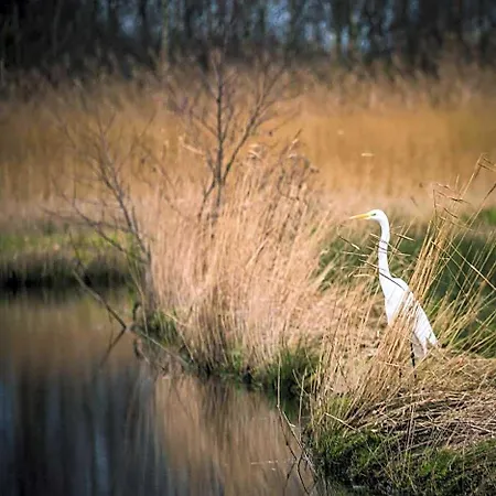 Kwadijkerbos Kwadijk