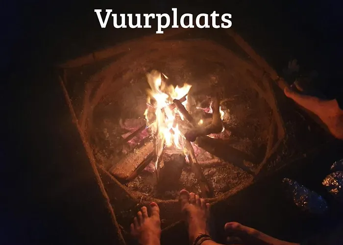 Bed & Breakfast Kwadijkerbos 3*