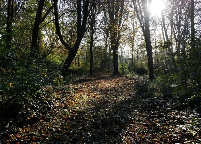 Kwadijkerbos Kwadijk