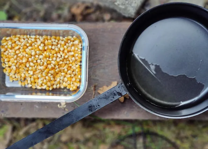 Kwadijkerbos Bed & Breakfast Kwadijk