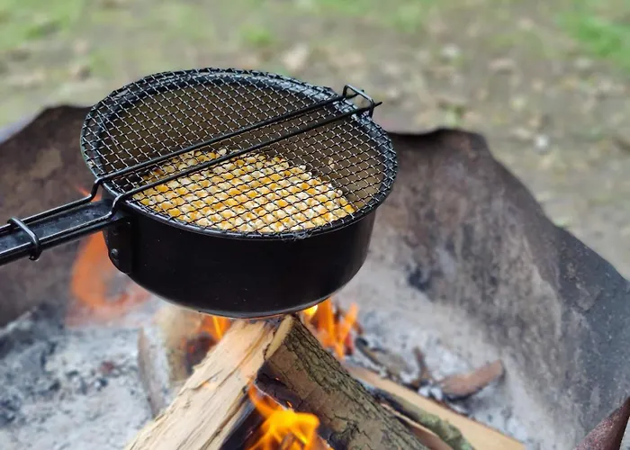 Kwadijkerbos Bed & Breakfast 3*