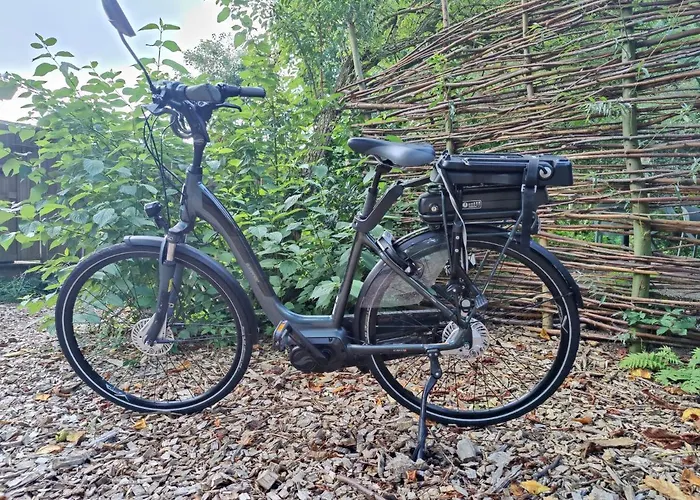 Kwadijkerbos Bed & Breakfast