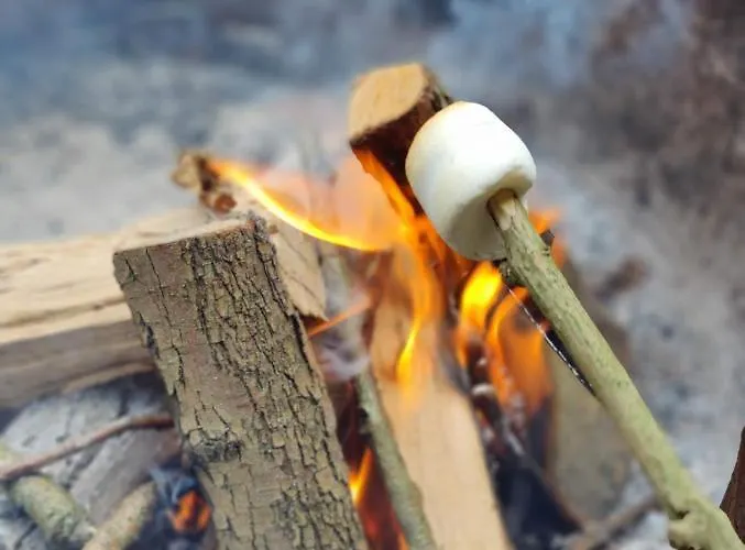 Kwadijkerbos Bed & Breakfast