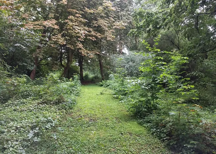 Bed & Breakfast Kwadijkerbos Kwadijk