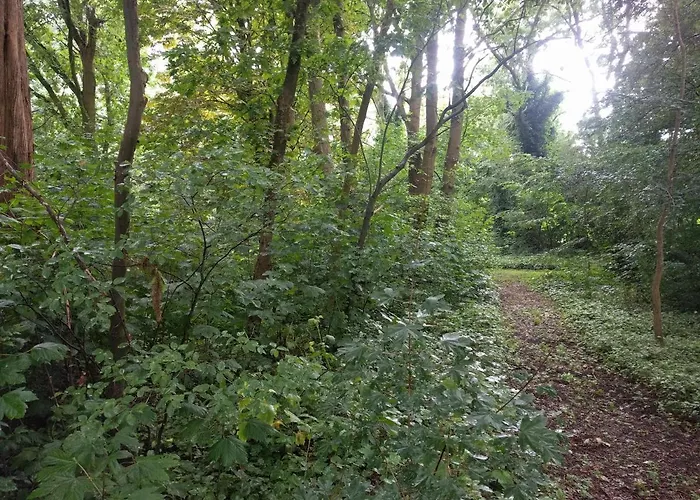 Bed & Breakfast Kwadijkerbos Kwadijk