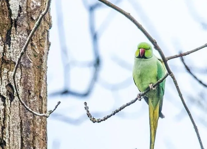 Kwadijkerbos Kwadijk