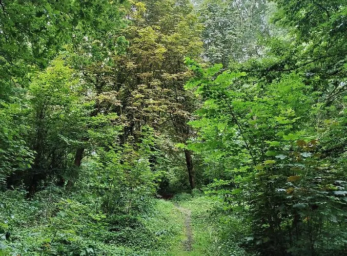 Bed & Breakfast Kwadijkerbos Kwadijk