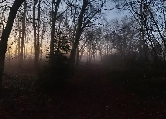 Kwadijkerbos Bed & Breakfast