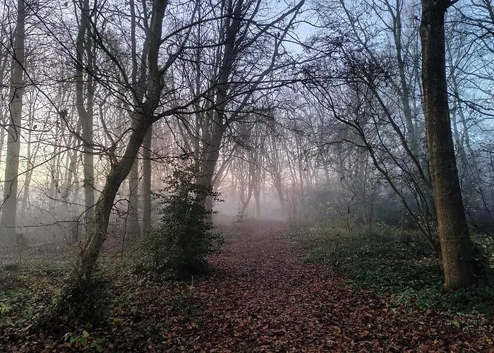 Bed & Breakfast Kwadijkerbos 3*