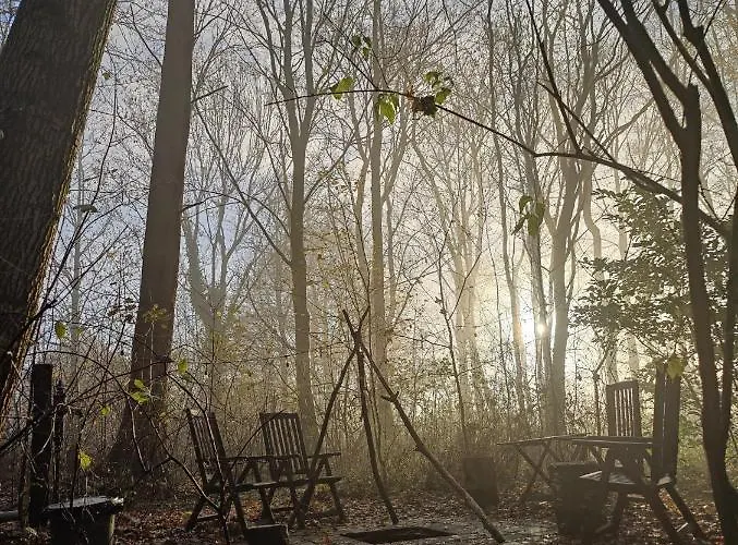 Bed & Breakfast Kwadijkerbos Kwadijk