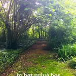 B&B Kwadijkerbos 3*