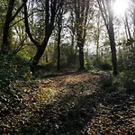 Kwadijkerbos Kwadijk