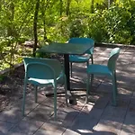 Kwadijkerbos B&B 3*