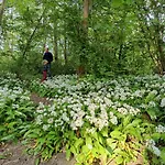 Kwadijkerbos 3*