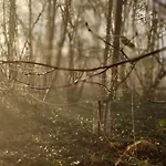 Kwadijkerbos Frühstückspension Kwadijk