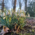 Frühstückspension Kwadijkerbos Kwadijk