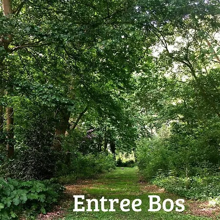 Kwadijkerbos 3*