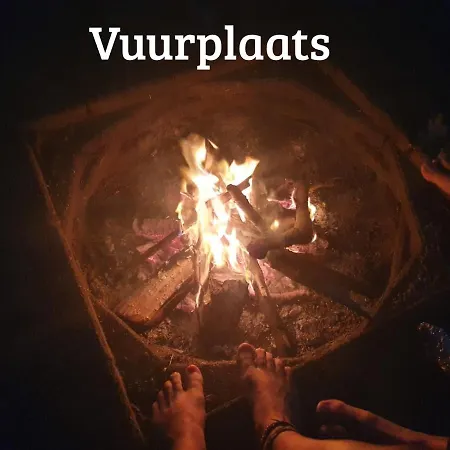 Bed & Breakfast Kwadijkerbos 3*