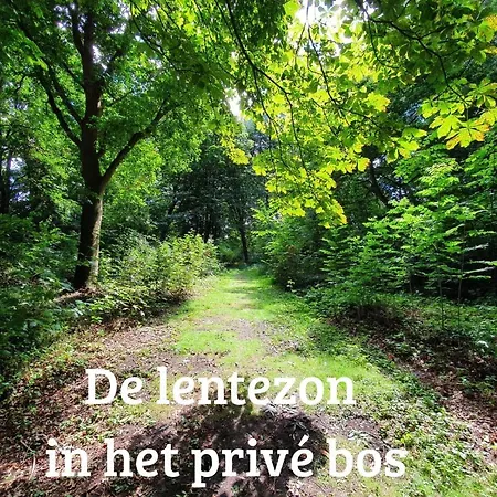 Bed & Breakfast Kwadijkerbos