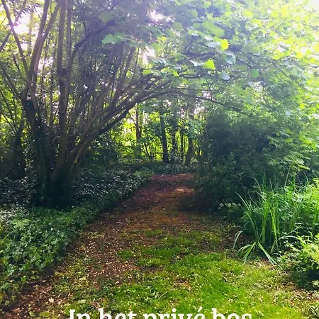 Bed & Breakfast Kwadijkerbos 3*