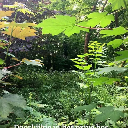 Kwadijkerbos Bed & Breakfast 3*