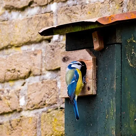 Bed & Breakfast Kwadijkerbos 3*