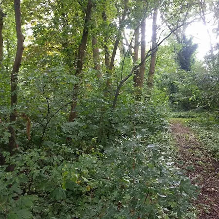 Bed & Breakfast Kwadijkerbos Kwadijk