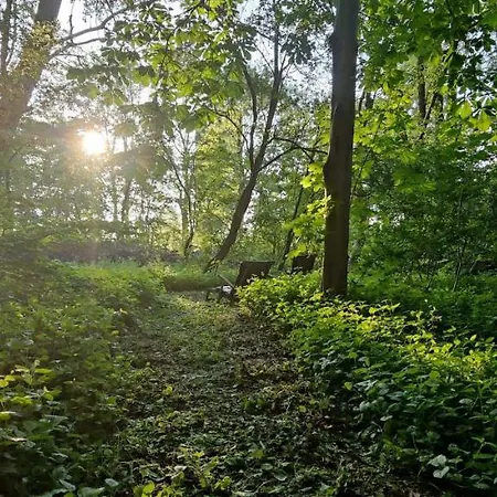 Kwadijkerbos Bed & Breakfast