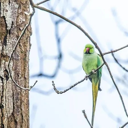 Kwadijkerbos Kwadijk