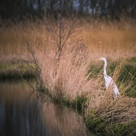Kwadijkerbos Bed & Breakfast