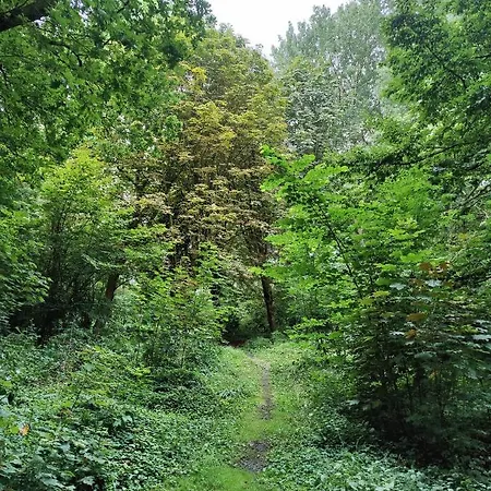 Bed & Breakfast Kwadijkerbos Kwadijk