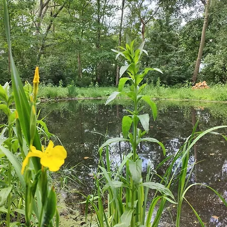 Bed & Breakfast Kwadijkerbos Kwadijk