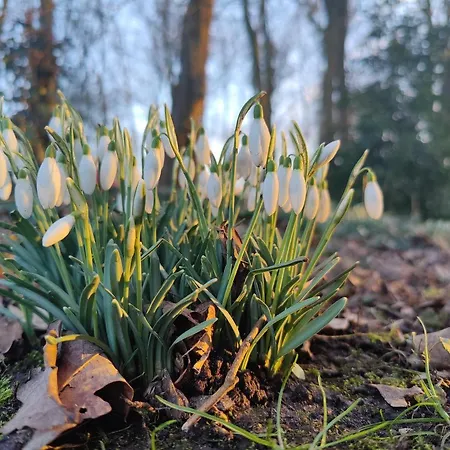 Bed & Breakfast Kwadijkerbos Kwadijk