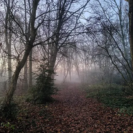 Bed & Breakfast Kwadijkerbos 3*